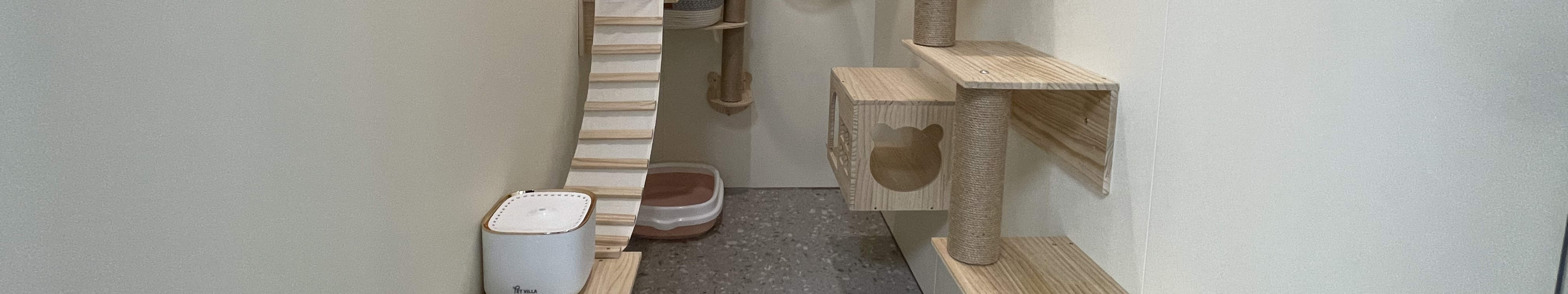 Deluxe Twin Cat Room - Interior